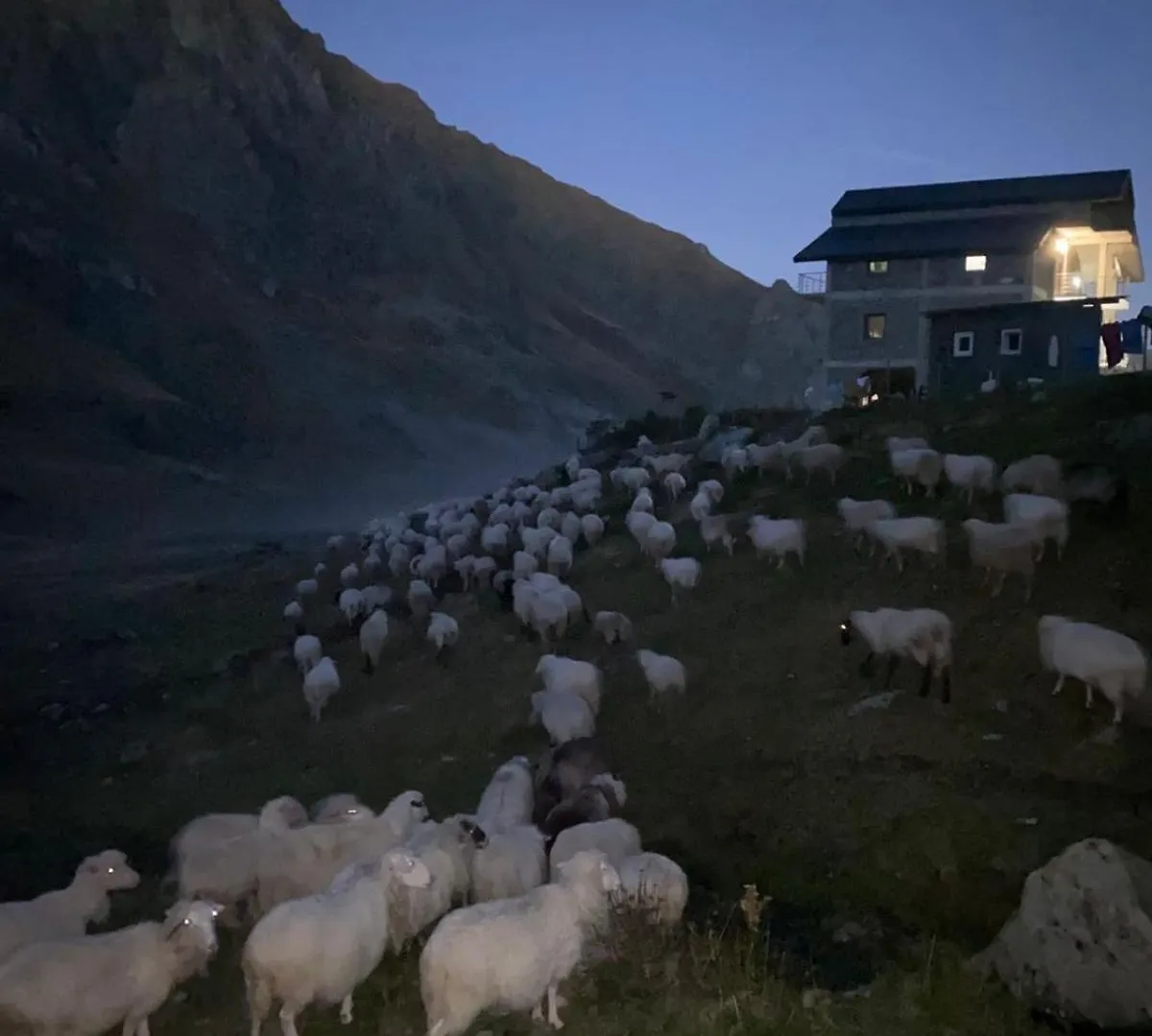 Sylbica Apartment Polisi i Vogel Albania